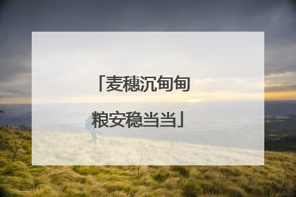 麦穗沉甸甸 粮安稳当当
