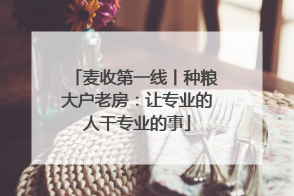 麦收第一线丨种粮大户老房：让专业的人干专业的事
