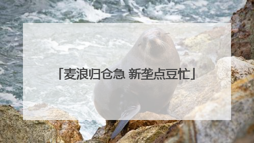 麦浪归仓急 新垄点豆忙