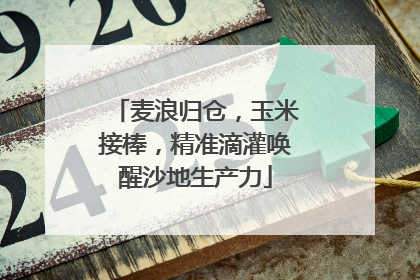 麦浪归仓，玉米接棒，精准滴灌唤醒沙地生产力