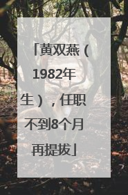 黄双燕（1982年生），任职不到8个月再提拔