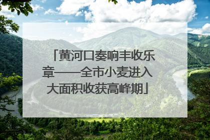 黄河口奏响丰收乐章——全市小麦进入大面积收获高峰期