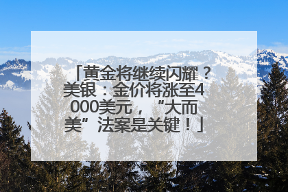 黄金将继续闪耀？美银：金价将涨至4000美元，“大而美”法案是关键！