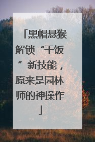 黑帽悬猴解锁“干饭”新技能，原来是园林师的神操作
