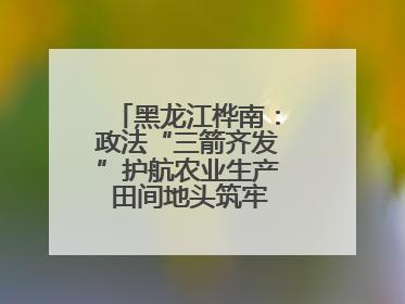 黑龙江桦南：政法“三箭齐发”护航农业生产 田间地头筑牢平安建设防线