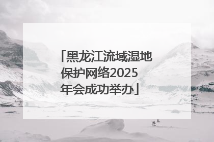 黑龙江流域湿地保护网络2025年会成功举办