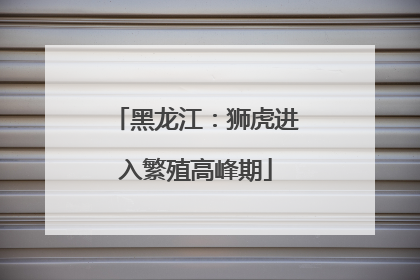 黑龙江：狮虎进入繁殖高峰期