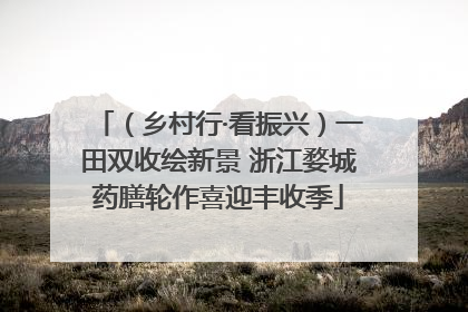 （乡村行·看振兴）一田双收绘新景 浙江婺城药膳轮作喜迎丰收季