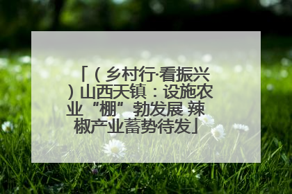 （乡村行·看振兴）山西天镇：设施农业“棚”勃发展 辣椒产业蓄势待发