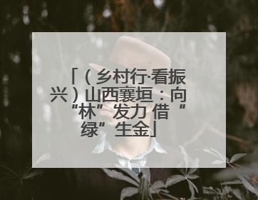 （乡村行·看振兴）山西襄垣：向“林”发力 借“绿”生金