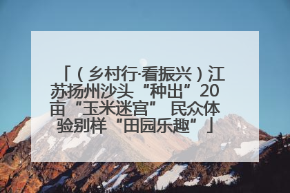 （乡村行·看振兴）江苏扬州沙头“种出”20亩“玉米迷宫” 民众体验别样“田园乐趣”