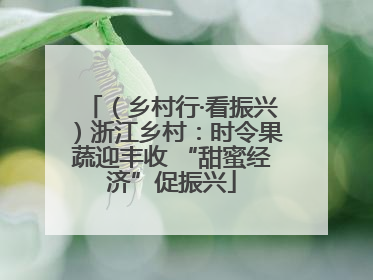 （乡村行·看振兴）浙江乡村：时令果蔬迎丰收 “甜蜜经济”促振兴