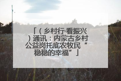 （乡村行·看振兴）通讯：内蒙古乡村公益岗托底农牧民“稳稳的幸福”