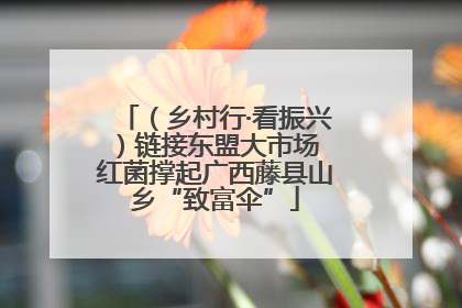 （乡村行·看振兴）链接东盟大市场 红菌撑起广西藤县山乡“致富伞”