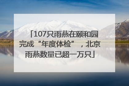 107只雨燕在颐和园完成“年度体检”，北京雨燕数量已超一万只