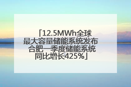 12.5MWh全球最大容量储能系统发布 合肥一季度储能系统同比增长425%