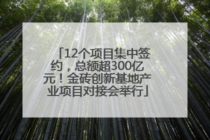 12个项目集中签约，总额超300亿元！金砖创新基地产业项目对接会举行