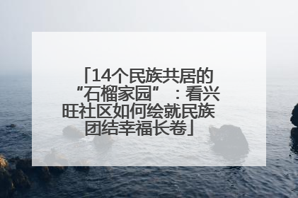 14个民族共居的“石榴家园”：看兴旺社区如何绘就民族团结幸福长卷