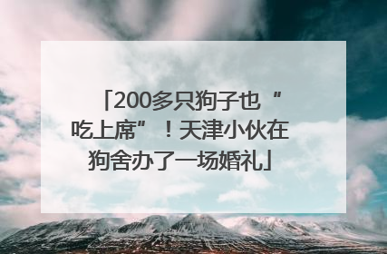 200多只狗子也“吃上席”！天津小伙在狗舍办了一场婚礼