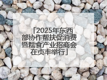 2025年东西部协作帮扶促消费暨糯食产业招商会在贞丰举行