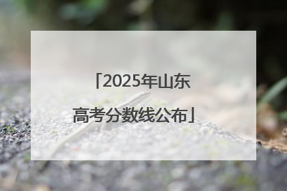2025年山东高考分数线公布