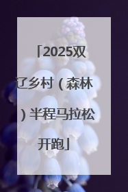 2025双辽乡村（森林）半程马拉松开跑