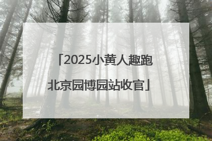 2025小黄人趣跑北京园博园站收官