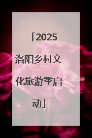 2025洛阳乡村文化旅游季启动
