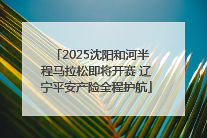 2025沈阳和河半程马拉松即将开赛 辽宁平安产险全程护航
