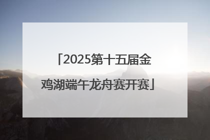 2025第十五届金鸡湖端午龙舟赛开赛