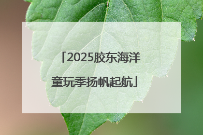 2025胶东海洋童玩季扬帆起航