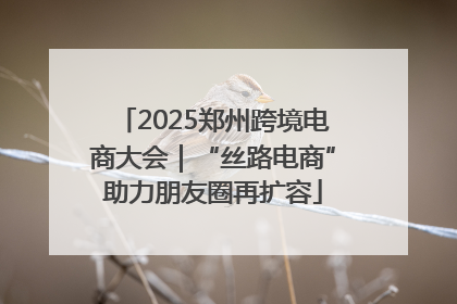 2025郑州跨境电商大会｜“丝路电商”助力朋友圈再扩容