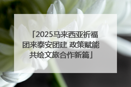 2025马来西亚祈福团来泰安团建 政策赋能共绘文旅合作新篇