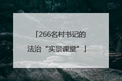 266名村书记的法治“实景课堂”