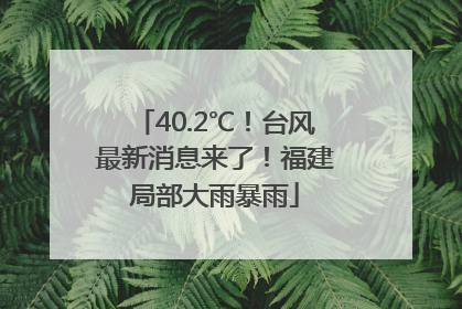 40.2℃！台风最新消息来了！福建局部大雨暴雨