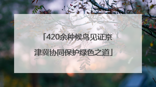 420余种候鸟见证京津冀协同保护绿色之道