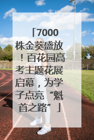 7000株金葵盛放！百花园高考主题花展启幕，为学子点亮“魁首之路”