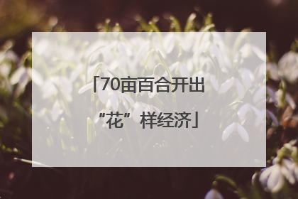 70亩百合开出“花”样经济