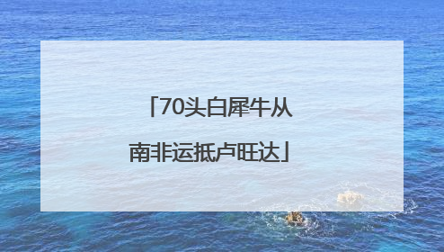 70头白犀牛从南非运抵卢旺达