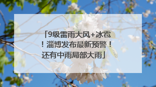 9级雷雨大风+冰雹！淄博发布最新预警！还有中雨局部大雨