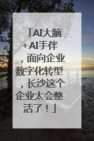 AI大脑+AI手伴，面向企业数字化转型，长沙这个企业太会整活了！