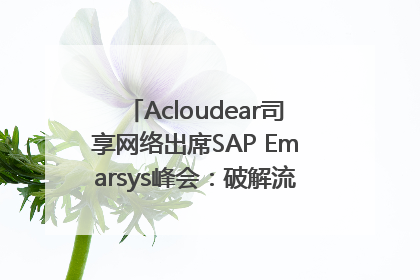 Acloudear司享网络出席SAP Emarsys峰会：破解流量困局，驱动精准增长