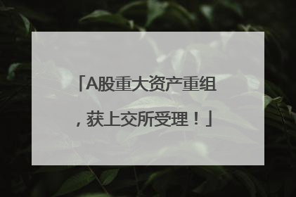 A股重大资产重组，获上交所受理！