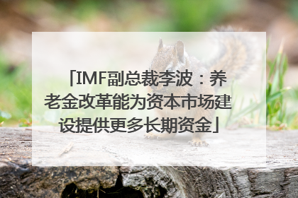 IMF副总裁李波：养老金改革能为资本市场建设提供更多长期资金