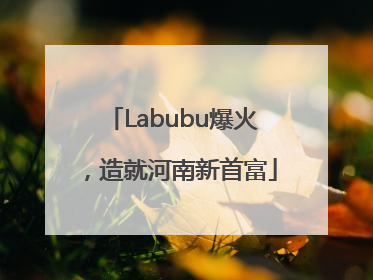 Labubu爆火，造就河南新首富